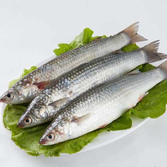 Cá đối 4-5 con/kg