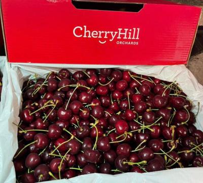 Cherry