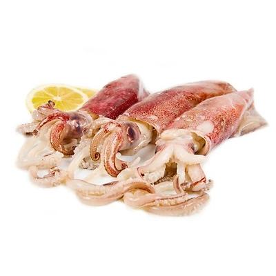 Mực trứng tươi sống ngon chất lượng 30-40 con/kg