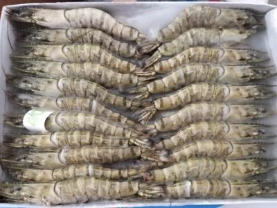 Tôm sú thiên nhiên đông lạnh loại 1 . 10-15 con/kg