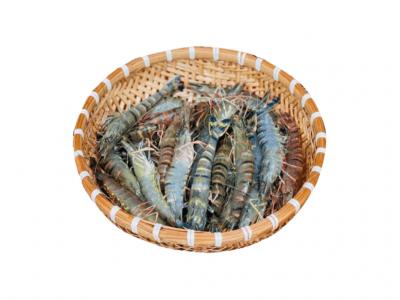 Tôm Sú Tươi Sống 60 - 70 con