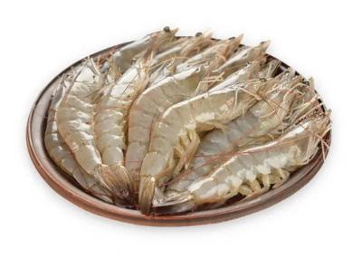 Tôm thẻ nguyên con tươi sống 25-30 con/kg