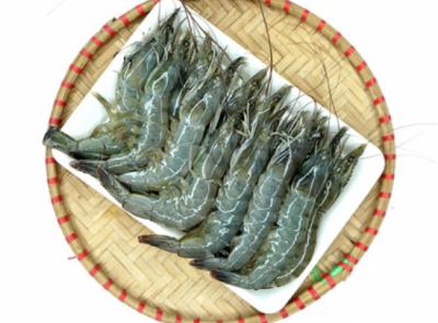 Tôm thẻ nguyên con tươi sống  30-35 con/kg