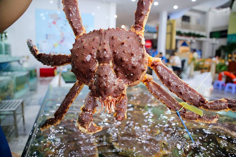 Cua hoàng đế King Crab