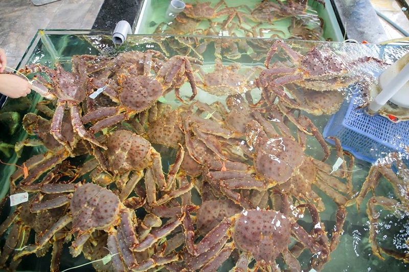 Cua hoàng đế King Crab